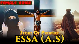 Hazrat Essa As Ka Waqia  Hazrat Esa As Ka Mojza  Prophet Isa Story in Quran  Islamic Insights [upl. by Killigrew]