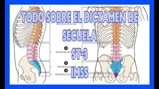 TODO SOBRE EL DICTAMEN ST3 PENSIÓN POR INDEMNIZACIÓN POR RIESGO DE TRABAJO ST7 y ST9 [upl. by Ahcatan]