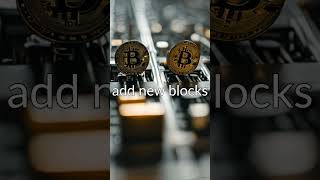 What Do Crypto Miners Do crypto money shorts finance investing bitcoin education blockchain [upl. by Ahseki]