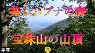 大山ユートピア登山道 7月29日 金曜 晴れ 初夏 暑い日 美しいブナの森 宝珠山の山頂 日本 鳥取県西伯郡大山町大山 博労座 WalkingYoshi [upl. by Bollay369]