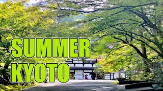 Summer in Kyoto Visiting Tourist destinations Philosophers Path Nanzenji Temple Aqueduct Bridge [upl. by Nadeen]