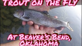 Trout on the Fly at Beavers Bend Oklahoma TroutOnTheFly [upl. by Fauch781]