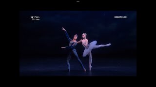 Ludwig Minkus quotLa Bayaderequot Nacho Duato Act 3 Mikhailovsky theatre St Petersburg 2019 [upl. by Nabala]