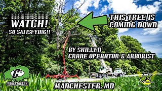 C2 Crane amp Tree Service Manchester MD for Tree Removal treeremoval craneoperator arborpro [upl. by Demahum]