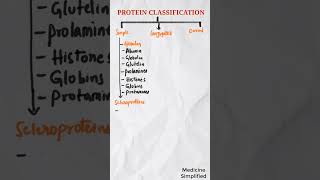 Proteins Classification  Classification of Proteins  Types of Proteins [upl. by Jos]