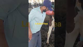 leukorrhea treatmentdairyviral ytshorts [upl. by Nathaniel547]