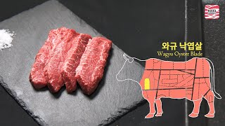 뉴질랜드 와규 낙엽살 NZ Beef Wagyu Oyster Blade [upl. by Eyot]