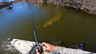 Fishing a SMALL RIVER for GIANT MUSKIES 12 MUSKY IN ONE DAY [upl. by Jennifer]