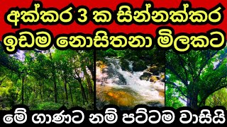 අක්කර 3 ක සින්නක්කර ඉඩම ලක්ෂ ගාණක් අඩුවට විකිණේ  Land for sale in sri lanka  Aduwata idam  Idam [upl. by Urias]