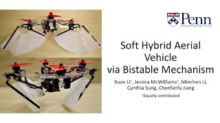 Soft Hybrid Aerial Vehicle via Bistable Mechanism [upl. by Sulakcin653]