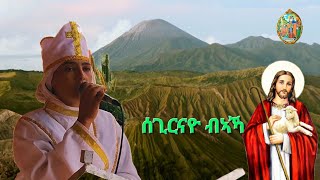 ✝️🙏quot መዝሙር ምስጋና ብዘማሪትኣዝመራ 30112016 [upl. by Deer]