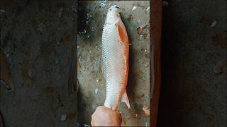 How to cut Amazing big mrigel fish cutting skills expertfishcutterinfishmarket [upl. by Milo]