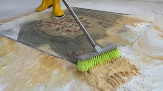 Watch the Dirt Disappear Carpet Wash Magic [upl. by Nydroj]