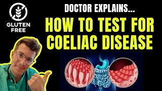 How to test for Celiac disease Coeliac Disease  IgA TtG and Biopsy explained [upl. by Oinigih800]