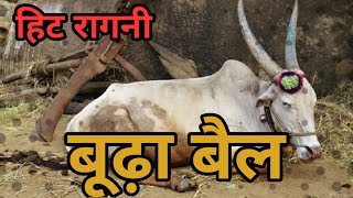 बूढ़ा बैल  Aaya Budhapa Kadwa Kar Ke Ragni  Pandit LakhmiChand Ki Hit Ragni [upl. by Idnak]