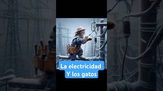 La electricidad y los gatos [upl. by Eicnan208]