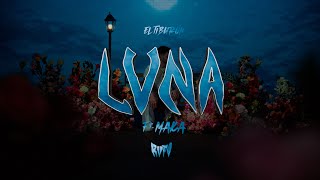 RVFV MAKA  LUNA Visualizer [upl. by Yelreveb]