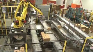 Robots Palletize 4 Production Lines in MultiLine Robotic Palletizing System  Currie by Brenton® [upl. by Pride]