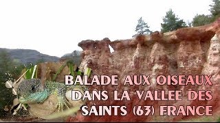 Balade aux oiseaux dans la Vallée des Saints Boudes 63 [upl. by Akerue327]