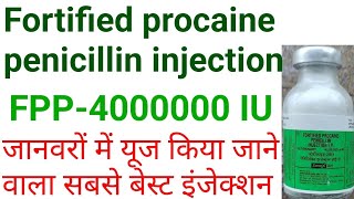 Fpp 40 iu injectionfortified procaine penicillin injection uses in hindihow to use fpp injection [upl. by Teri]