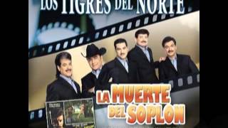 La Muerte del SoplonLos Tigres del Norte Album La Muerte del SoplonAño 2006 [upl. by Zilada]