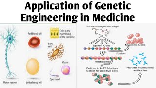 Application of Genetic Engineering Biotechnology Unit 2 BPharm 6 Sem geneticengineering [upl. by Vander]