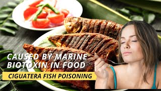 Ciguatera fish poisoning [upl. by Ecidna]