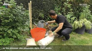 Jardinage 3  Je fais pousser des pleurotes dans mon jardin [upl. by Archibaldo]