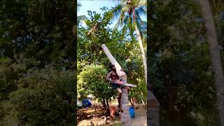 This Kanyakumari Guy Is An Expert In Coconut Tree Cutting Tamil Nadu kanyakumari coconut cutting [upl. by Cired]