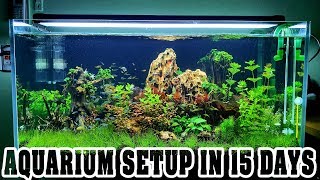 Aquarium Setup in 15 Days  Aquascape  Live Planted Fish Tank [upl. by Gmur]