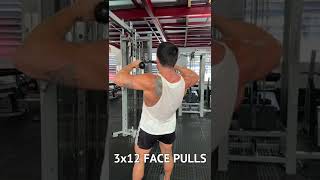 Push Pull Legs Workout Plan  Day 4  Full Week Of Training [upl. by Anelrahc]