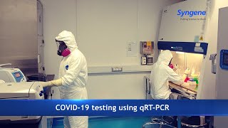 COVID19 testing using qRTPCR at Syngene [upl. by Elaine]