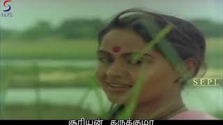 Poongatru Thirumbuma  Pallavi Female  Lyrics  Ilayaraja WhatsApp Status [upl. by Mcintosh635]