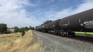 Union Pacific 6699 WestNorth  Sacramento CA 682024 [upl. by Halimaj971]