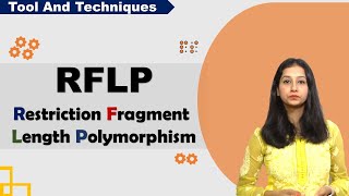 RFLP I Restriction Fragment Length Polymorphism I Tool amp Technique I [upl. by Powe]