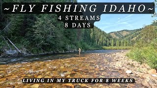 Idaho is a must visit  A look at 4 streams in 8 days  A fly fishingtruck camping adventure [upl. by Akeemaj659]