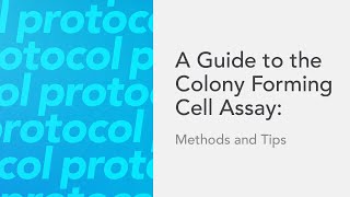 A Guide to the Colony Forming Cell Assay Methods and Tips [upl. by Haonam]