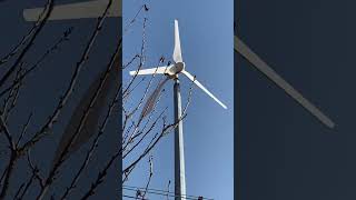 wind turbine 1kw [upl. by Altaf]