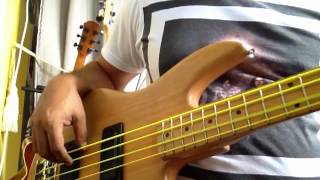 DR Neon Bass String Yellow Demo [upl. by Krischer]