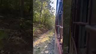 Waghai  Bilimora Narrow Gauge Journey  Gujarat  09502  Indian Railways [upl. by Donadee248]