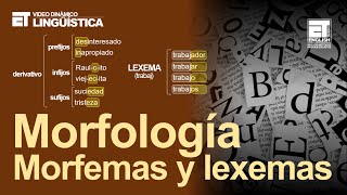 LINGÜÍSTICA 😃✅ LEXEMAS Y MORFEMAS  2021 Fácil explicación✅✅✅✅ [upl. by Lorelei243]