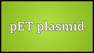 PET plasmid Meaning [upl. by Llebana721]