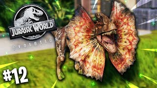 🦖 DILOPHOSAURUS vs VELOCIRAPTOR  Jurassic World Evolution 12 [upl. by Truscott]