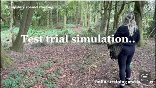 English Working cocker spaniel FUN test trial simulation Gundog Training [upl. by Atsylac]