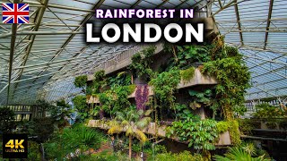 Guide to Barbican Centre in London 🇬🇧 Huge Garden at Barbican Conservatory [upl. by Edrei]