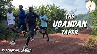 Follow a Ugandan athletes taper for a half marathon race [upl. by Dawes]