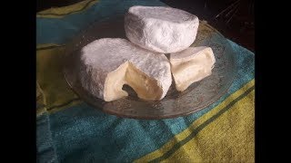 Faire son Camembert Brie  Fermette Familiale Les Biscornus [upl. by Dviad]