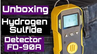 Hydrogen Sulfide Detector [upl. by Atined246]