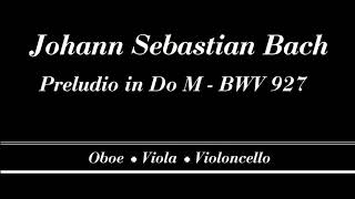 Johann Sebastian Bach  Preludio in Do Maggiore  BWV 927 [upl. by Boorer]