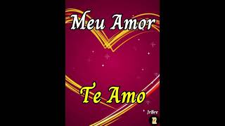 Meu Amor Te Amo shorts mensagemdeamor poesia [upl. by Staley]